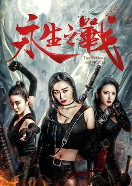 神偷谍影1080p