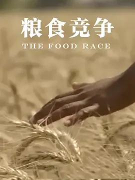 机动战士高达seed重制版下载