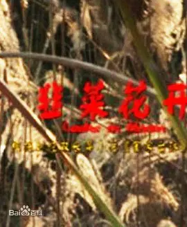 好男人视频社区看直播