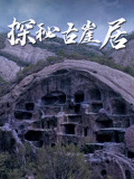 高清在线观看电视剧