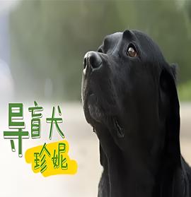 鼠胆龙威手机免费观看
