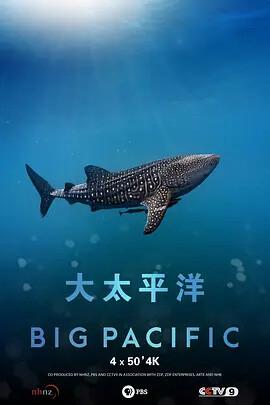 刘晓邑