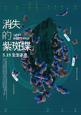 杉杉来了小说续集