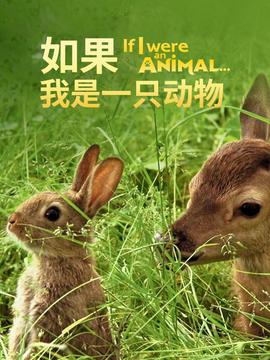 鹿晗北京演唱会