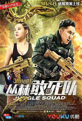军师联盟 在线观看全集
