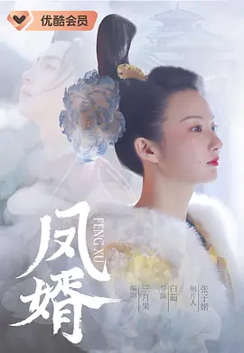 大唐女将樊梨花传奇