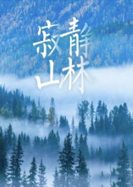 精装追女仔3未删减粤语高清