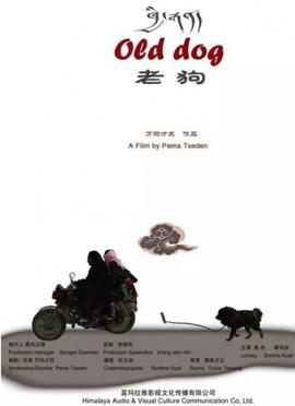 甘宝宝的花苞最新文章
