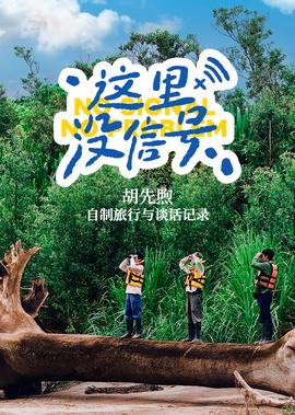 叶落长安电视剧40集