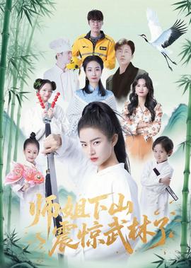 傻瓜妈妈插曲