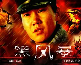 哭泣的拳头 歌词