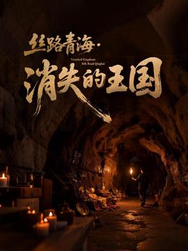 狙击生死线电视剧土豆