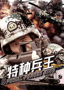 与狼共舞2电视剧演员表