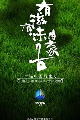姜文的老婆