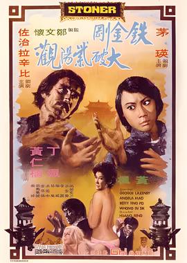 南华梦飞翔