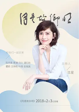 天鹅套索电视剧