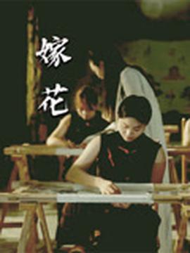 桐柏英雄小说