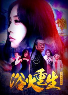 义不容情电视剧全集