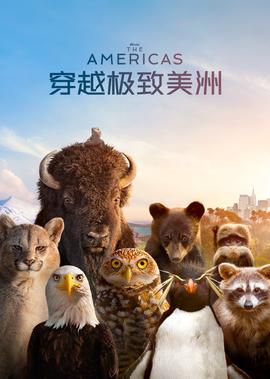 加油 金顺