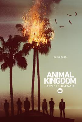 夏家三千金大结局剧情