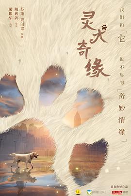 血色浪漫为什么不能看