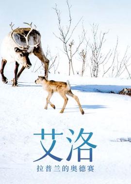 上海堡垒鹿晗