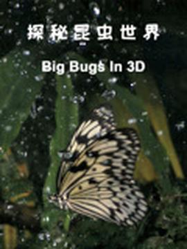 溏心风暴第二部