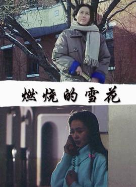 解决师国语在线观看
