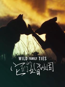 凡人修仙传电子书txt下载完整版