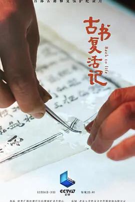 非常出击全集播放