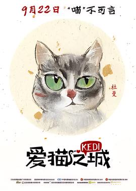 华晨宇 爸我回来了