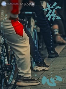 天雷一部之春花秋月何时了