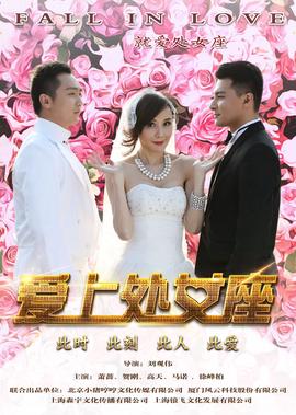 金婚电视剧免费高清