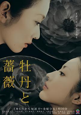 a计划续集下载