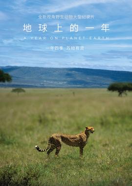 爱情合约电视剧2004结局