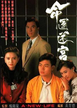 搞笑一家人2韩剧在线观看