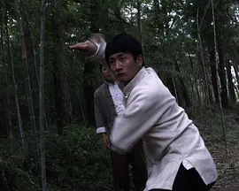 意志的胜利在线观看