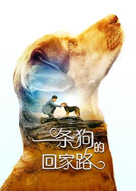 大唐双龙传之长生诀宋玉致