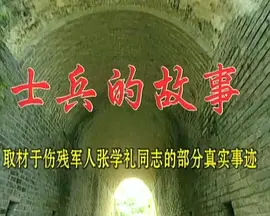 2011版我是特种兵全集25集