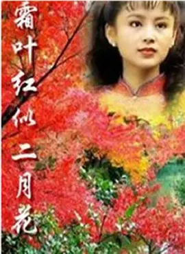 寂寞寂寞就好歌词