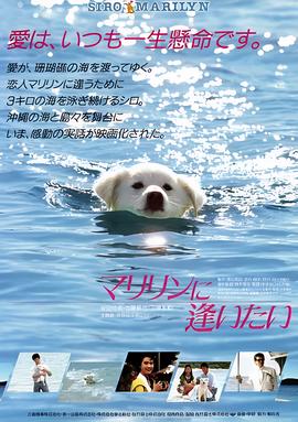 国民老公原著