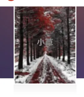 远大前程十三太保都是谁