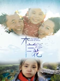 白粉妹观后感
