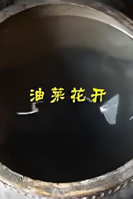 狼侠电视剧全集免费观看