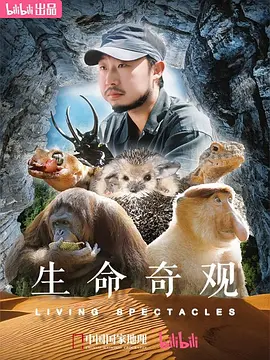 蓝色大海的传说20集免费