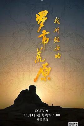 黑狐之风影电视剧全集播放爱奇艺