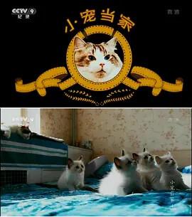轩辕剑天之痕全集迅雷下载