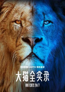 新还珠格格第三部全集免费观看