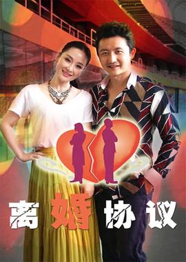楚汉传奇 电视剧