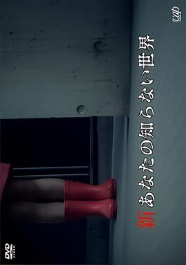 转运手之恋结尾